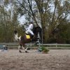 bABIE lATO 2018